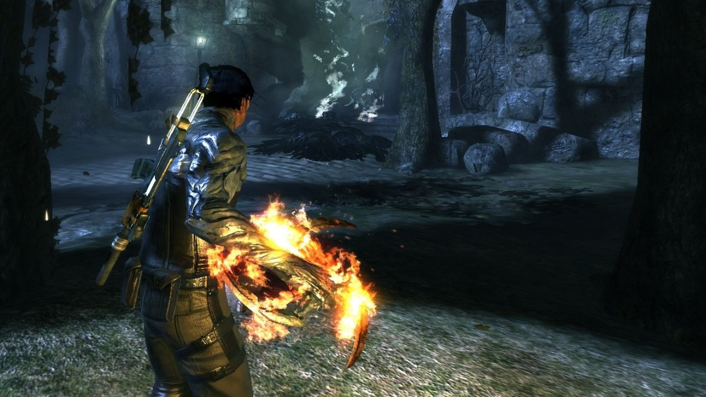 Dark Sector